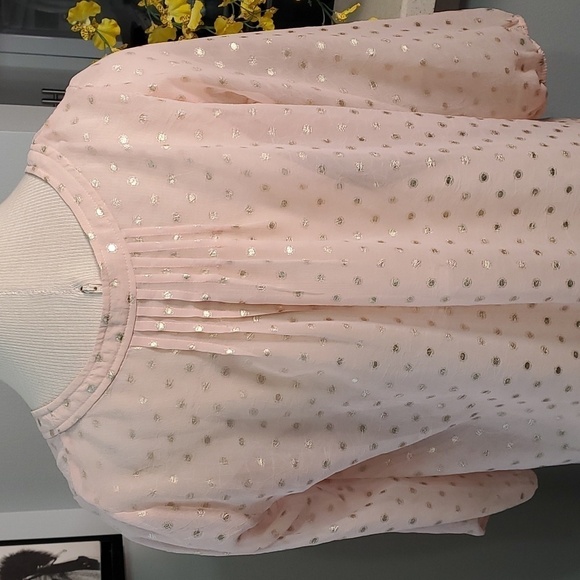 Doe & Rae sheer pink blouse with silver polkadot.  Size small. BOHEMIAN style.‎ - Picture 6 of 7